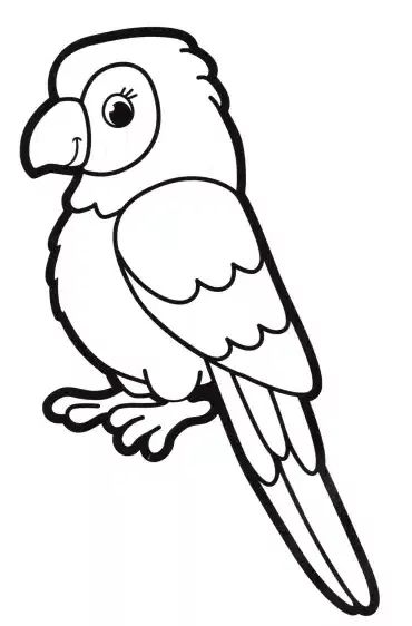 Papagei 30 coloring pages for kids in 2024 | Malvorlagen tiere, Vogel malvorlagen, Papagei zeichnung . #Parrot_Colouring_Pages #Parrot_Template #Jungle_Animal_Coloring_Pages #Parrot_Coloring_Page Parrot Colouring Pages, Jungle Animals Coloring Pages, Preschool Coloring Pages Printables, Parrot Drawing For Kids, Parrot Printable, Parrot Coloring Page, Jungle Vbs, Jungle Coloring Pages, Dove Drawing