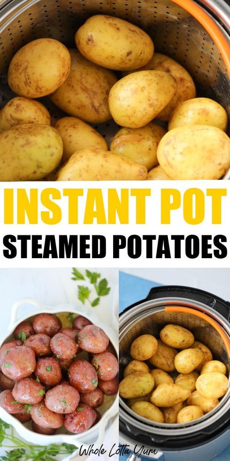 Instant pot steamed potatoes are absolutely one of the best potato recipes! If you love seasoned potatoes, are a fan of the instant pot, or need a go-to healthy recipe for a weeknight meal or any occasion, you have to try the instant pot steamed potatoes! Insta Pot Potatoes Recipes, Pressure Cooking Potatoes, How To Cook Potatoes In Instant Pot, New Potatoes Instant Pot, Steam Potatoes Instant Pot, Instant Pot Small Potatoes Recipe, Cooking Potatoes In Instant Pot, How Long To Cook Potatoes In Instant Pot, Whole Potatoes In Instant Pot