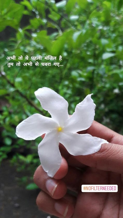 #wallpaper #motivation #hindi #quotes #hindilines #suvichar #selflove #aesthetics #grace #flowers #Tumblr #quotestoliveby #hindiquotes #shayari #gulzar Hindi Quotes On Nature, Shayari On Flowers In Hindi, Flower Quotes In Hindi, Shayari On Flowers, Aesthetic Hindi Quotes, Life Lesson Quotes In Hindi, Hindi Aesthetic Quotes, Rose Flower Quotes, Beautiful Shayari