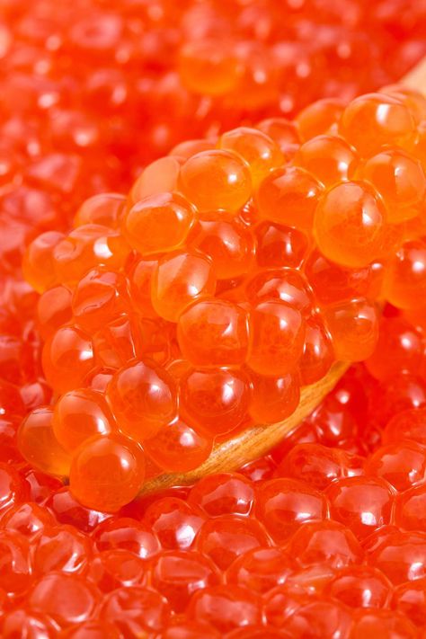 Ikura Recipe, Caviar Appetizers, Chum Salmon, Sushi Logo, Salmon Caviar, Cured Egg, Sturgeon Fish, Fish Eggs, Eating Food Funny