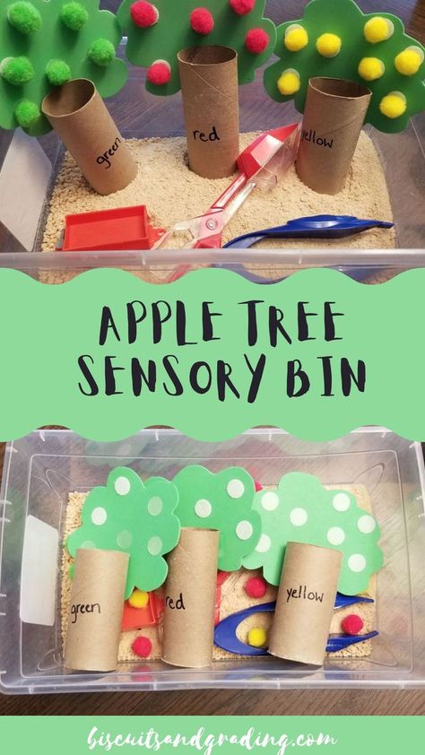 Apple Orchard Sensory Bin, Fall Sensory Bins For Preschool, Tree Unit Sensory Table, Tree Study Sensory Bin, Classroom Sensory Table, Sensory Apple Activities, Apple Tree Sensory Bin, Apple Theme Sensory Table, Squirrel Sensory Bin