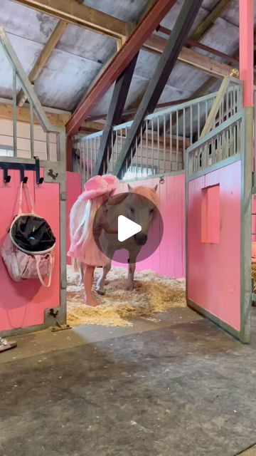 Line Laagasken 🇳🇴 on Instagram: "Guess our favorite color😂💖 

#horselife #horsestable #luxurystables #horses #horsesofinstagram #pink #barbie #equestriansofinstagram #equine #rytter #barbiestyle #pinkpinkpink" Barbie Horse, Show Jumping Horses, Pink Barbie, Horse Jumping, Horse Stables, Horse Life, Show Jumping, Barbie Fashion, Aspen