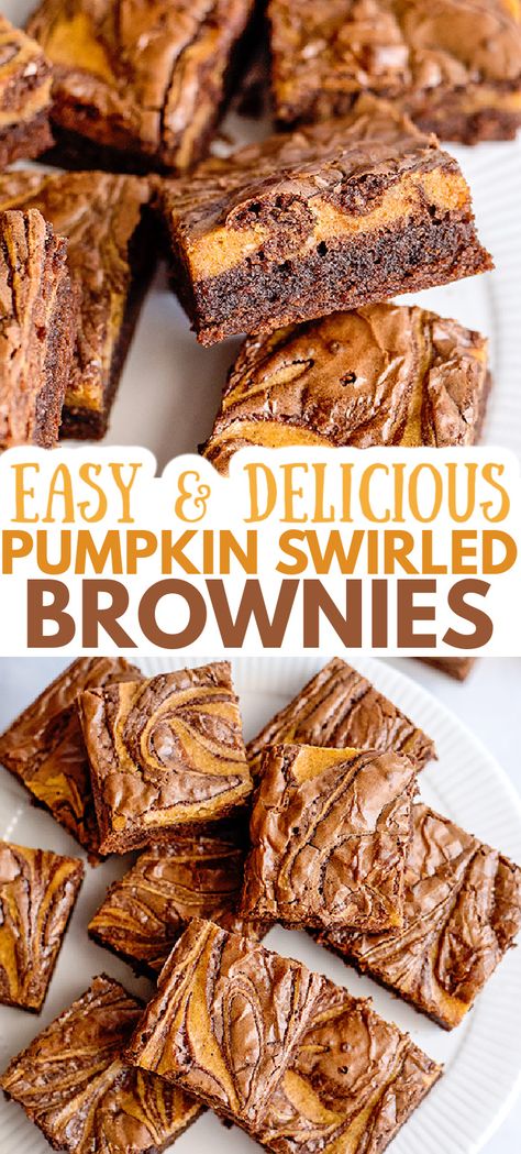 Pumpkin Swirl Brownies - These easy Pumpkin Brownies are my go-to brownie for the fall months. This is a box mix brownie recipe with a fun from scratch pumpkin cheesecake swirl throughout. These brownies are colorful, moist, and delightful down to the last crumbs. #cookiedoughandovenmitt #falldesserts #pumpkin #brownies #pumpkindesserts #pumpkinrecipes Swirled Brownies, Pumpkin Swirl Brownies, Pumpkin Cheesecake Brownies, Dessert Halloween, Cheesecake Brownie, Pumpkin Brownies, Swirl Brownies, Pumpkin Cream Cheeses, Spiced Pumpkin