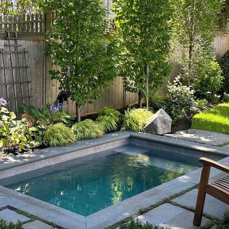 15 Best Backyard Plunge Pool Ideas For Summertime Fun Backyard Seating Ideas, Small Pools Backyard, Small Inground Pool, Elegant Backyard, Dipping Pool, Inground Pool Landscaping, Pools For Small Yards, Plunge Pools, Pools Backyard Inground