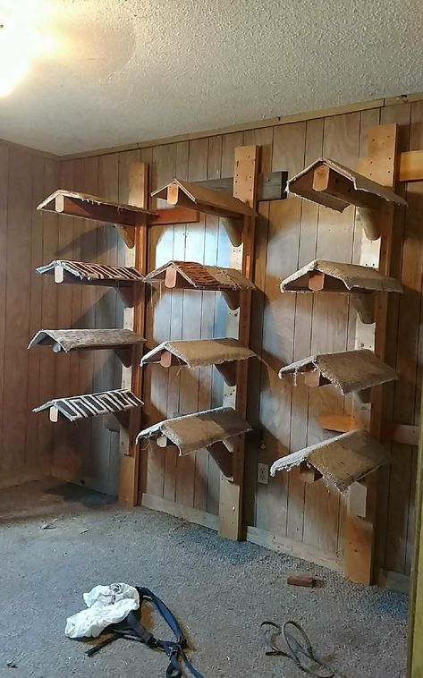 Western Saddle Pad Storage Ideas, Diy Saddle Rack Wall, Saddle Holder Ideas, Tack Room Saddle Rack, Western Saddle Pad Storage, Saddle Storage Ideas, Saddle Rack Diy Wall Mount, Tack Room Inspiration, Tack Room Ideas Western