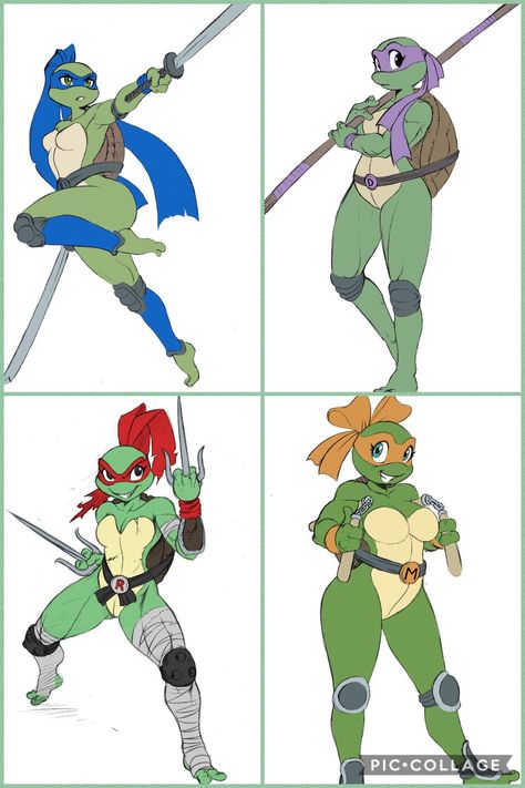 Female Splinter Tmnt, Female Mikey Tmnt, Female Raphael Tmnt, Female Teenage Mutant Ninja Turtles, Tmnt Girls Version, Female Tortle Character Art, Tmnt Design Art, Tmnt X Y/n, Female Tmnt