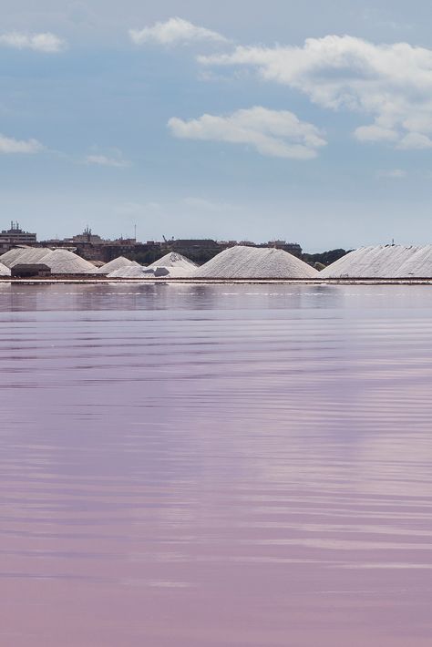 Pink lake Torrevieja Spain Torrevieja Spain, Pink Lake, Natural Wine, Natural Park, Pink Salt, Blue Lake, Beautiful Sights, Model Ships, Great View