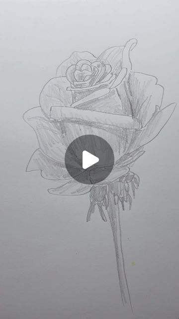 Easy Drawing Rose, How To Draw A Rose Easy, Basic Rose Drawing, Rose Buds Drawing, Rose Pencil Drawing Simple, How To Draw A Rose, Drawings Of Roses, Draw A Rose Easy, Rose Drawing With Stem