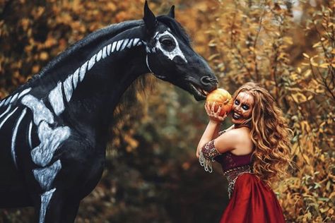 Horse Halloween Costumes, Horse Costumes, Horse Portrait, Halloween Photoshoot, Halloween Inspo, Halloween Photos, Equine Photography, Horse Photos, Horse Photography