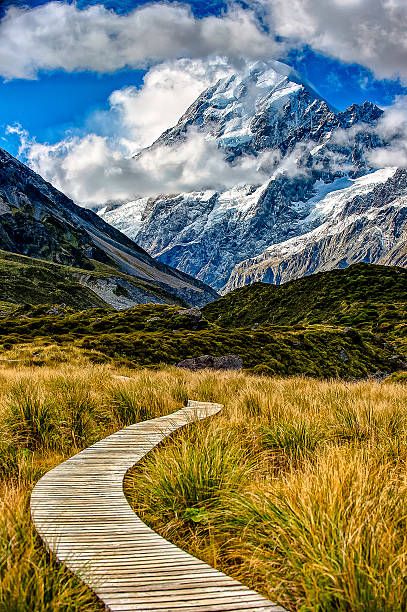 Nz South Island, Abel Tasman, New Zealand Landscape, New Zealand South Island, The Great, Rotorua, New Zealand Travel, To Infinity And Beyond, Oh The Places Youll Go