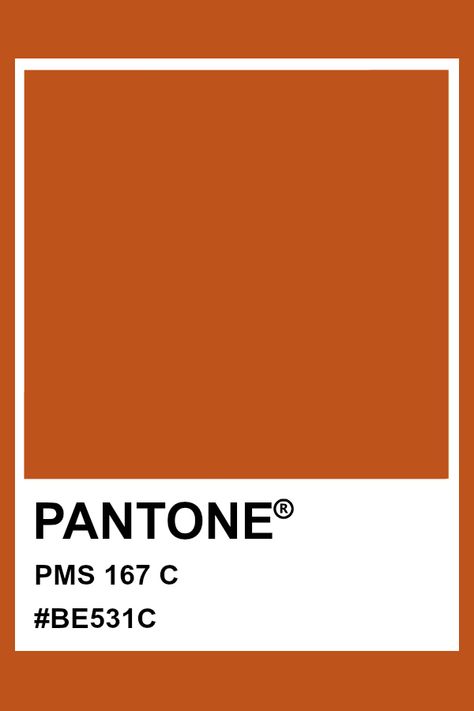 Pantone PMS 167 #pantone #color Pantone Orange, Pantone Matching System, Yellow Pantone, Pantone Color Chart, Pantone Swatches, Pantone Palette, Pantone Colour Palettes, Color Chip, House Doors