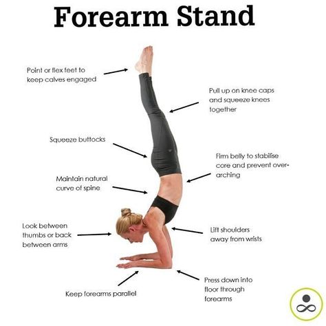 Working my ass off for this one!! Almost there 😊 Great tips xx --------------- RG: @kundalini_keely --------------- #riffraffyoga #yoga #yogalove #forearmstand Forearm Stand, Headstand Yoga, Forearm Workout, Yoga Tutorial, Bikram Yoga, Acro Yoga, Pose Yoga, Types Of Yoga, Restorative Yoga