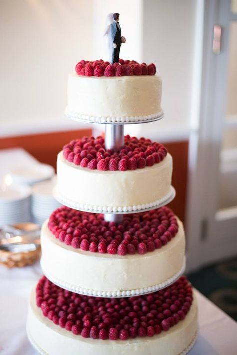 Wedding Cakes One Floor, Wedding Cake With Raspberries, Cake With Raspberries On Top, Raspberry Wedding Cake, Wedding Cake Raspberry, Wedding Ceremony Decorations Indoor, Raspberry Wedding, Fruit Wedding Cake, Wedding Cheesecake