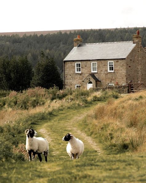 England Countryside, English Village, Country Lifestyle, British Countryside, Countryside House, English Cottage, English Countryside, Uk Travel, Me When