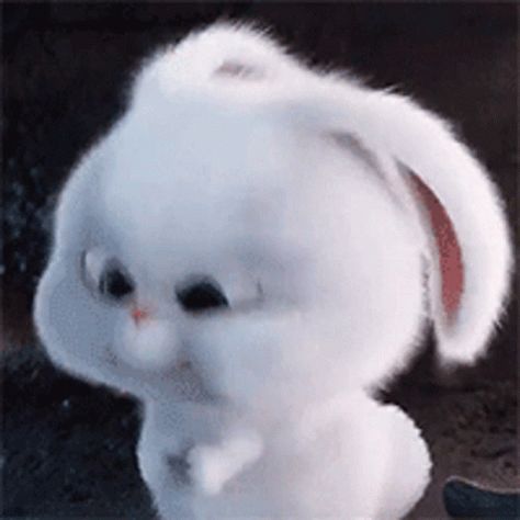 Snowball Icons, Secret Life Of Pets Snowball, Snowball Rabbit, Cuddling Gif, Disney Mignon, Rabbit Gif, Rabbit Wallpaper, Cute Bunny Cartoon, Cartoon Artwork