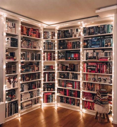 Books Library Home, Bookshelf With Lights, Organizing Bookshelf, Bookcase In Bedroom, Beautiful Bookshelves, Dream Home Library, Aesthetic Library, Home Library Rooms, Future Library