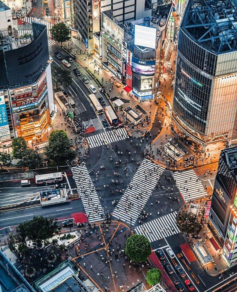 Shibuya Crossing, Tokyo, Japan