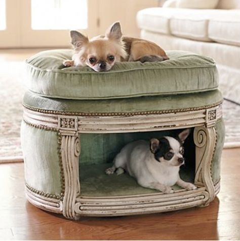 Here are some creative ideas you can try and have a perfect place for your pet to rest, and at the same time make it look stylish! #PetSpace Ottoman Dog Bed, Pet Spaces, Cool Dog Beds, Chihuahua Love, Dog Furniture, Dog Houses, Pet Furniture, Diy Stuffed Animals, Diy Dog Stuff