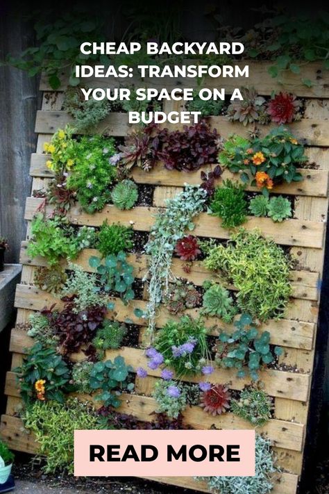 Vertical garden made from a repurposed wooden pallet planted with a variety of succulents and herbs, accompanied by a text overlay suggesting budget-friendly transformation ideas. Simple Backyard Ideas On A Budget, Garden Edger, Flower Bed Edging, Cheap Backyard, Backyard Seating, Tiered Garden, Garden Parasols, Easy Backyard, Budget Backyard