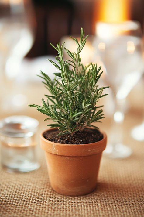 Wedding reception setup. Potted rosemary centerpiece on burlap tablecloth.

Turn your dream of a fairy-tale garden wedding into reality with our inspirational guide on garden wedding table styles. Whether it's a classic garden party or a bohemian picnic setting, we have got the ideas to make every wedding as unique as the couple it celebrates. From chic floral centerpieces…

Read more: https://tastywed.com/generated-post-26-fresh-garden-wedding-table-styling-inspirations/ Potted Plants On Wedding Tables, Potted Plant Centerpieces Wedding, Rosemary Centerpiece, Potted Centerpieces, Potted Plants Wedding, Potted Rosemary, Potted Plant Centerpieces, Spring Wedding Table Decor, Wedding Reception Setup