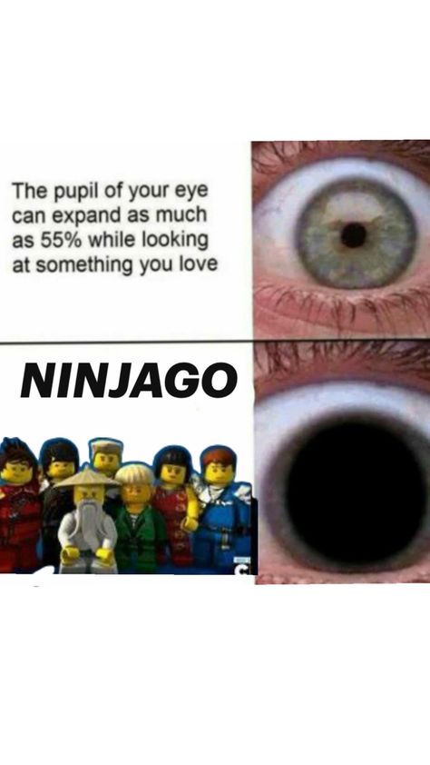 Ninjago Drawings, Ninjago Quotes, Harry Potter Fan Theories, Jay Ninjago, Dragons Rising, Ninjago Dragon, Ninjago Lloyd, Lego Ninjago Lloyd, Ninjago Memes