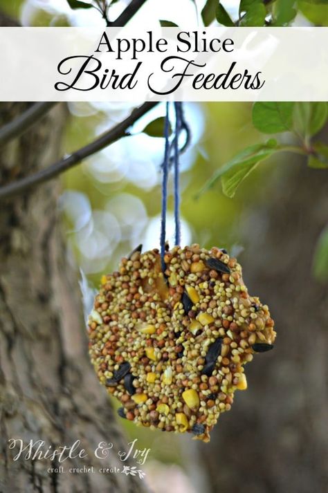 Apple Bird Feeder, Apple Slice, Homemade Bird Feeders, Easiest Apples, Kids Activity, Nature Study, Apple Slices, Fun Activities For Kids, Bird Feeder