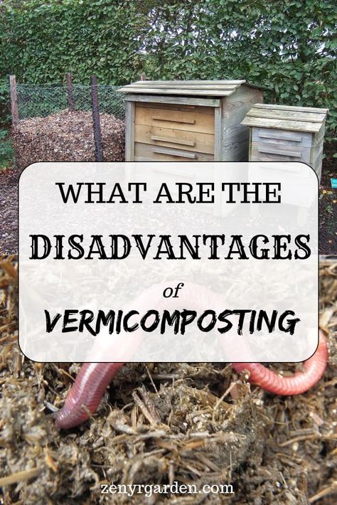 Vermicomposting For Beginners, Worm Composter Diy, Worm Composting For Beginners, Vermicomposting Diy, Growing Worms, Diy Worm Farm, Indoor Worm Composting, Diy Worm Compost Bin, In Bed Vermicomposting