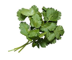 1/2 cup chopped fresh cilantro Pruning Cilantro, Rice Mexican, How To Harvest Cilantro, Growing Cilantro, Drying Cilantro, Magia Das Ervas, Lime Rice, Cilantro Lime Rice, Rice Dish