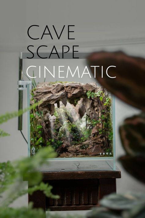 Cave Scape Cinematic YouTube Video by TheWorldofGreen Nano Tank Aquascape Ideas, Cave Terrarium, Isopod Terrarium, Terrarium Art, Gecko Terrarium, Advertising Video, Aqua Tank, Terrarium Ideas, Reptile Room