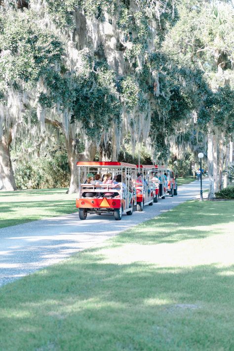 Why You Should Add Jekyll Island to Your Travel List - Walking in Memphis in High Heels Jekyll Island Georgia, Tree Tunnel, Driftwood Beach, Jekyll Island, Live Oak Trees, Beautiful Bars, Hotel Pool, Relaxing Vacations, Travel List