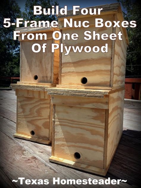 How To Build A Quick 5-Frame Beehive Nuc Box - It's helpful this time of year to have small beehive boxes at the ready for swarms and such. Thankfully you can build FOUR 5-frame beehive nuc boxes from one single sheet of plywood! #TexasHomesteader How To Make A Bee Hive, Build A Bee Hive, Bee Nuc, Honey Bee Swarm, Backyard Beehive, Honey Bees Keeping, Bee Hives Diy, Bee Hives Boxes, Swarm Of Bees