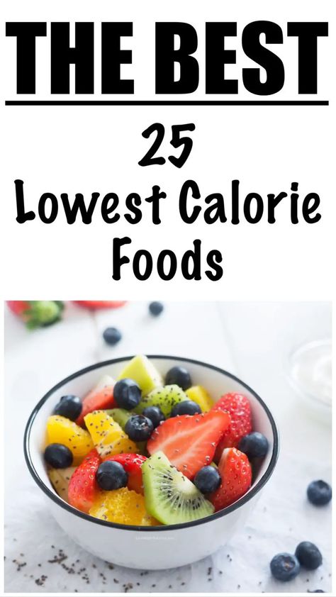 Lowest Calorie Foods, Low Calorie Foods, 500 Calories Recipes, 500 Calories A Day, Lean Protein Meals, Family Nutrition, Low Calorie Cooking, 1200 Calorie, Healthy Food Recipes Clean Eating