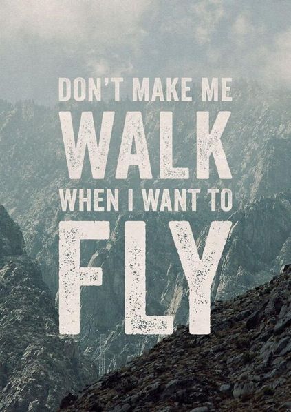 Dont make me walk when I want to fly Aviation Quotes, Fly Quotes, Diy Photo, Motivational Posters, Inspirational Quotes Motivation, Travel Quotes, Beautiful Quotes, The Words, Great Quotes