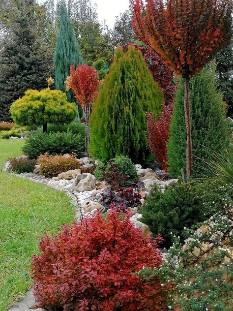 Front Yard Privacy Landscaping, Front Yard Landscaping Design Layout, Dream Garden Backyards, Evergreen Landscape, Conifers Garden, River Rock Garden, Privacy Landscaping, Front Yard Garden Design, Fall Garden Vegetables