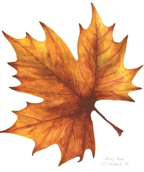 Nails Thanksgiving, Autumn Leaves Art, Leaf Template, Autumn Thanksgiving, 수채화 그림, Home Inspo, Painted Leaves, Watercolor Leaves, Autumn Nails