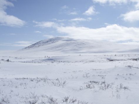 Firbolg Druid, Tundra Biome, Southern Water Tribe, Dnd Places, Arctic Tundra, Water Tribe, Biome, Matte Painting, Snow Scenes