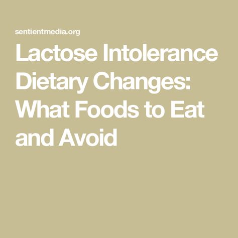 Lactose Intolerance Dietary Changes: What Foods to Eat and Avoid Lactose Intolerance Diet, Lactose Free Diet Plan, Lactose Intolerant Diet, Lactose Intolerant Recipes, Lactose Intolerant Symptoms, Fodmap Food, Free Diet Plans, Lactose Intolerance, Raw Broccoli