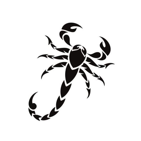 Scary Drawings, Scorpio Tattoo, Svg Clip Art, Scorpion Tattoo, Tattoo Graphic, Silhouette Clip Art, Black Silhouette, Flash Art, Animal Skulls