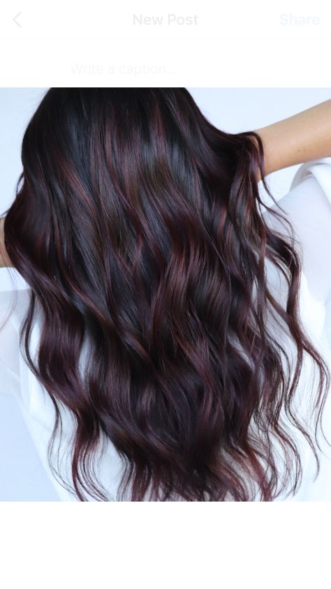 Dark Hair Color Ideas For Winter Long, Dark Color Balayage Hair, Dark Hair Burgundy Balayage, Dark Hair With Black Highlights, Dark Hair Red Lowlights, New Fall Hair Colors 2023 Brunette, Colors To Dye Dark Brown Hair Without Bleach, Dark Hair Fall 2023, Dark Brown With Burgundy Balayage