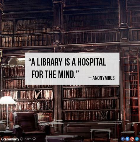 When In Doubt | janeaustenrunsmylife Lots Of Books, Library Quotes, Book Nook, Reading Quotes, World Of Books, Book Memes, Book Addict, Book Nooks, Library Books