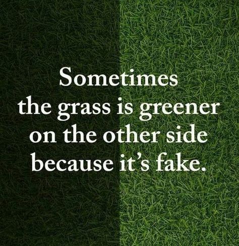 Green Grass Quotes, Fake Quotes, The Grass Is Greener, Daily Wishes, Grass Is Greener, Colorful Inspiration, Green Quotes, Daily Blessings, Word Board