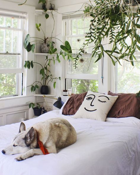 10 Fresh Ways To Decorate With Plants In Every Room Of The House Plant Decoration Ideas, Decorate With Plants, Too Many Plants, Holistic Home, Feng Shui Master, Plant Decoration, Plant Images, Nap Time, Home Tour