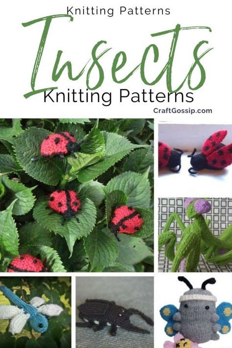 20+ Amazing Knit Insect Patterns – Knitting Butterfly Knitting Pattern, Knitted Butterfly Free Pattern, Knitted Flowers Free, Ladybug Picnic, Quick Knitting Projects, Knit Christmas Ornaments, Sunflower Butterfly, Cute And Cuddly, Knitting Blogs