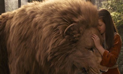 Aslan And Lucy, Narnia Lucy, Lucy Movie, The Silver Chair, Narnia Movies, Natural Form Art, I Love Pic, The Chronicles Of Narnia, Prince Caspian