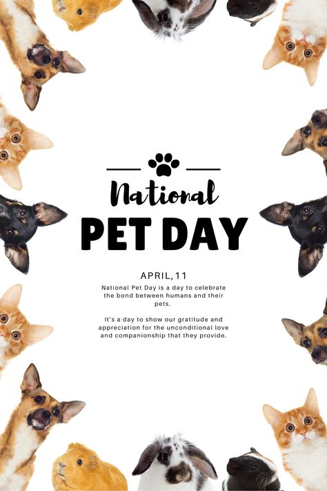 National Animal Day, Photography Flyers, International Dog Day, National Pet Day, Dog Salon, National Puppy Day, Rottweiler Dog, Dog Poster, Pet Day