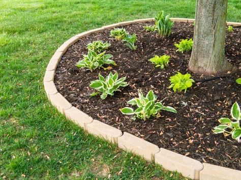 Getting your garden ready? Make sure you don't skip the mulching. Here's everything you need to know about properly mulching the garden. | The Dos and Don’ts of Mulching the Garden Transplanting Hostas, Divide Hostas, Transplant Hostas, Mulch Around Trees, Plants Under Trees, Landscaping Around Trees, Hosta Gardens, Luxury Landscaping, Hosta Plants