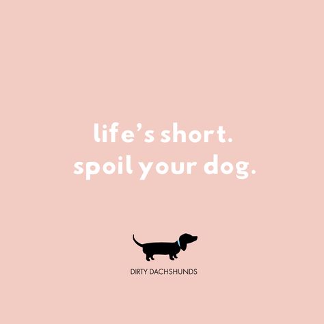 Cute Dog Quotes Short, Funny Dog Quotes For Instagram, Dog Grooming Quotes, Dogs Captions Instagram Cute, Quote For Dogs Instagram, Dog Phrases Quotes, Dog Phrases, Cute Dog Quotes, Dog Spa