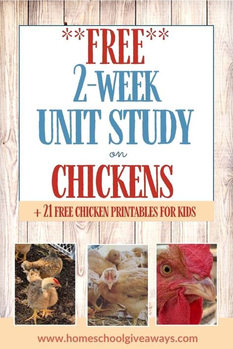 Easter Unit Study, Farm Unit Study, Free Unit Study, Chicken Life Cycle, Kindergarten Units, Elementary Worksheets, Homeschool Unit Studies, Homeschool Nature Study, Homeschool Nature