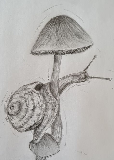 Sketch of a snail¿ #sketch Snail Sketch Simple, Snail Painting Acrylic, How To Draw A Snail, Snails Drawing, Snail Drawings, Slug Drawing, Snail Sketch, Snail Artwork, Insect Sketch