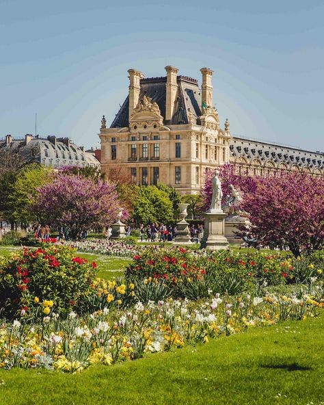 French Presentation, Sofia Grace, France Spring, Paris Background, Paris Photo Ideas, France Landscape, Paris Garden, Street Background, Spring In Paris